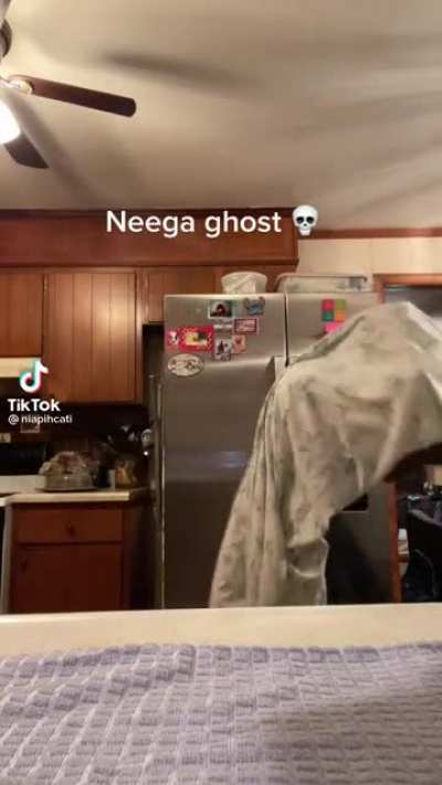 danny phantom.