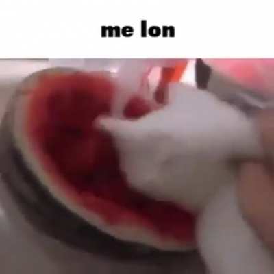 me lon