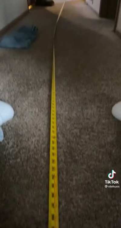 25 foot Milwaukee tape measure
