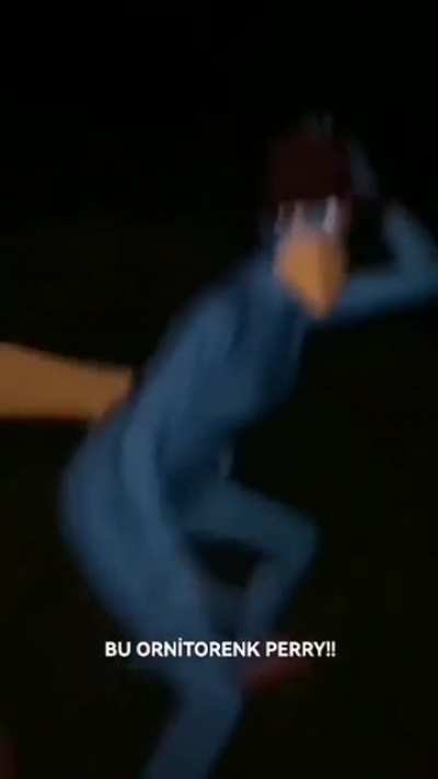 ornitorenk