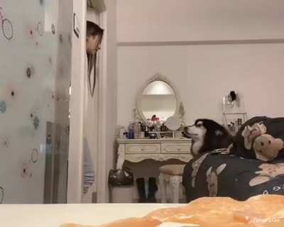 Послу<wbr>шный хороший мальч<wbr>ик. Да и хозяйка хороша.)