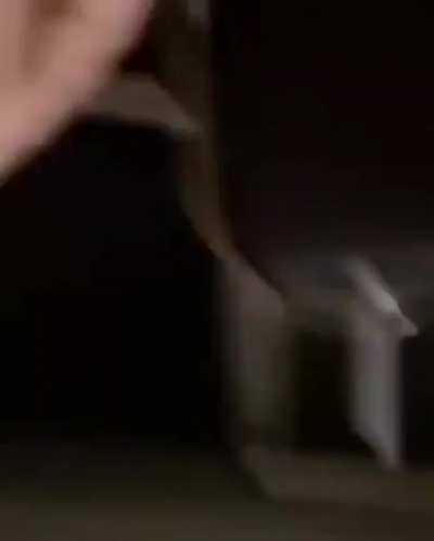 œ