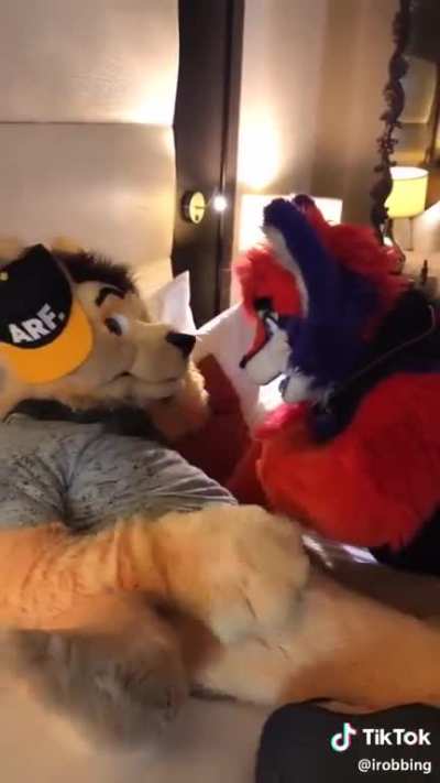 Furry cringe