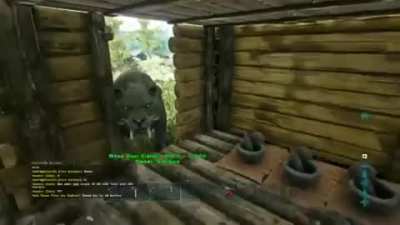 Come to ark we got