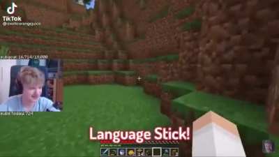 The language stick