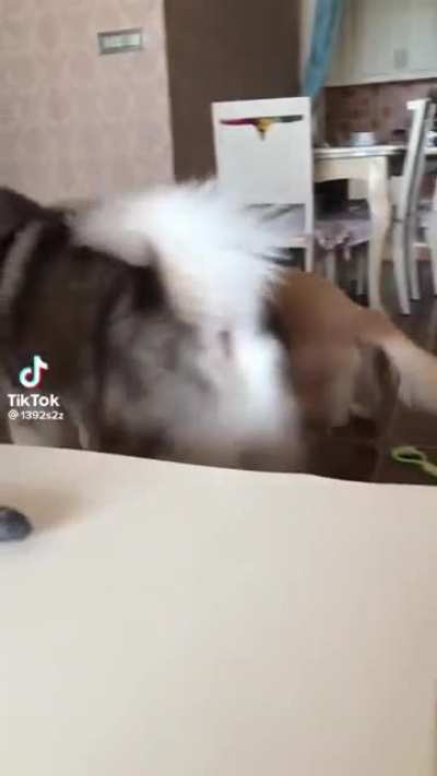When you're tired of the drama!