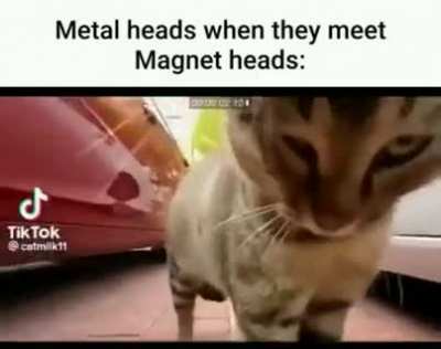 Magcatco🧲