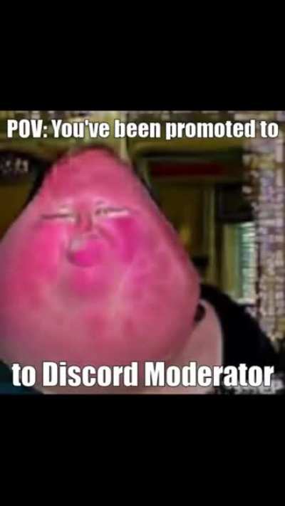 Funny meme. Laugh now.