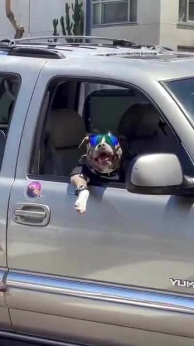 Hay, Whats Up