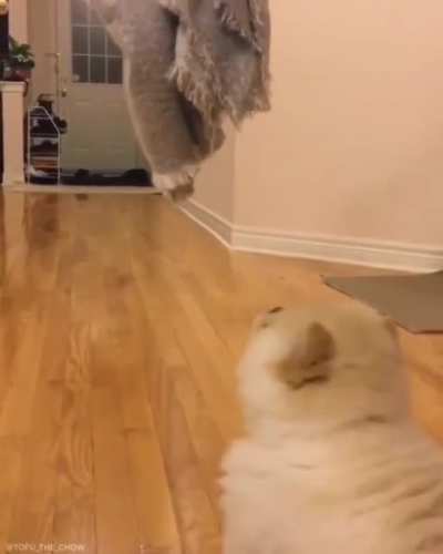 The way he falls