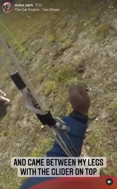 Paragliding Dog