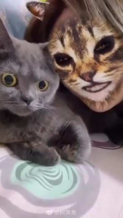 How to give your pet a nightmare