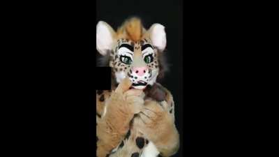 Guys. Furry is now dead. We can celebrate