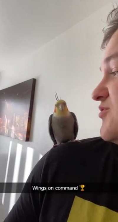 Burb