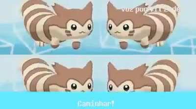 c a m i n h a r