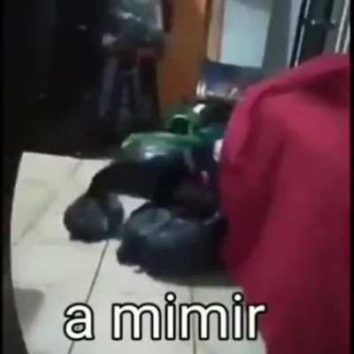 A mimir