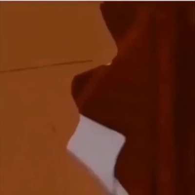 I Think I Downloaded The Wrong Disney Movie