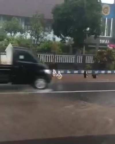 Penguin Madagascar Tertangkap sedang beraksi