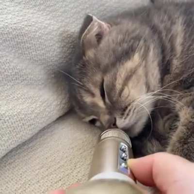 Котя сопит в микро<wbr>фон