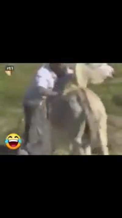 Just keep filming while my buddy gets chased by a donkey