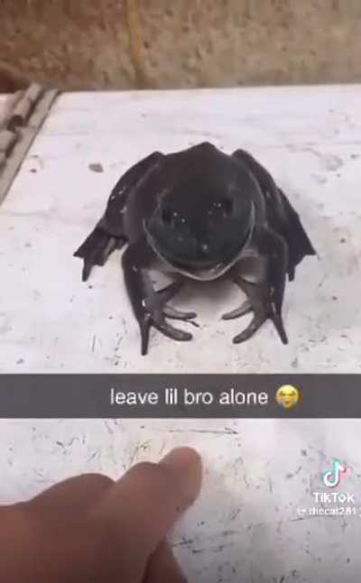 Quit doing that to him ☹️☹️