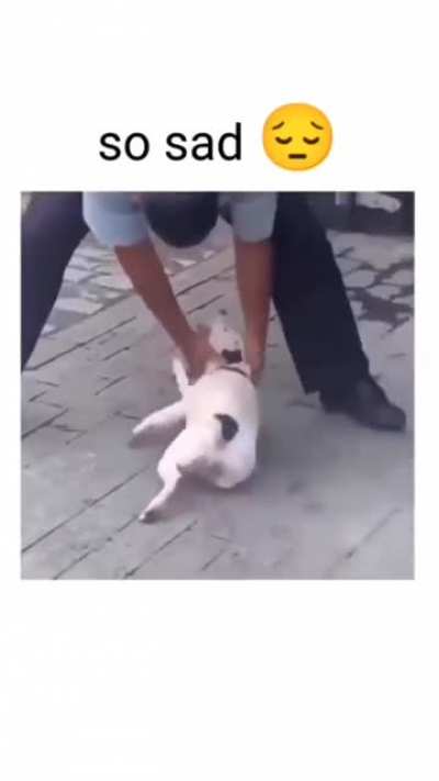 I think it belongs here