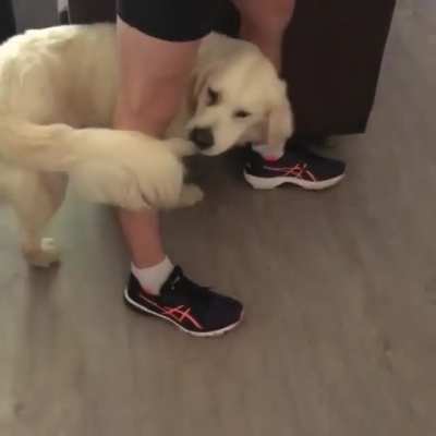Derpy-go-round