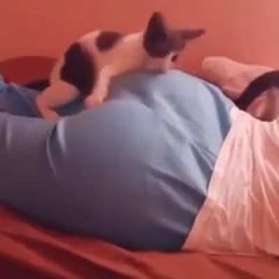 Esse vídeo eu peguei a cerca de 3 meses no reddit,não sei em qual comunidade foi mas se foi nessa foi mal aí.