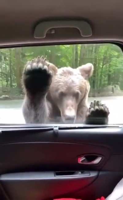 Weird scream 😱