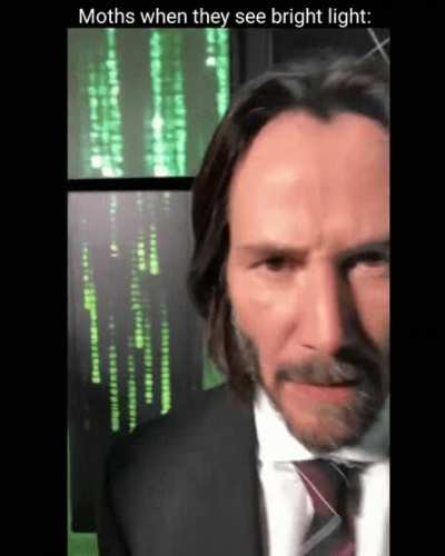 we love keanu