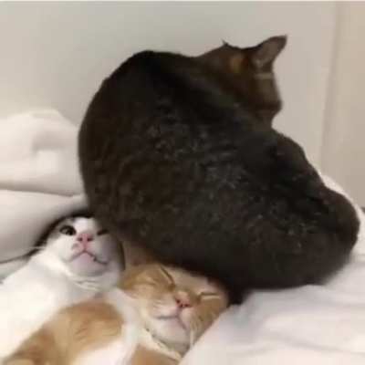 Excuse me..
