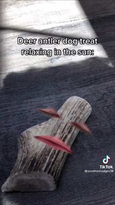 Relaxing in the sun