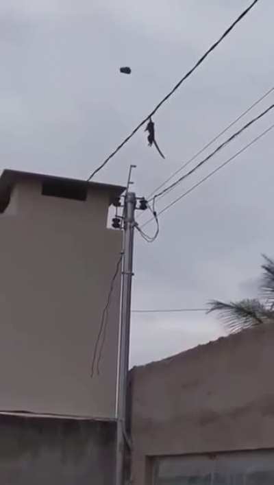 Nuuu el magagu