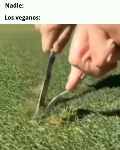 Sepias be like