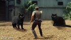 Jurassic pussycats