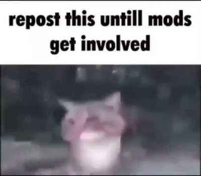 keep it goin