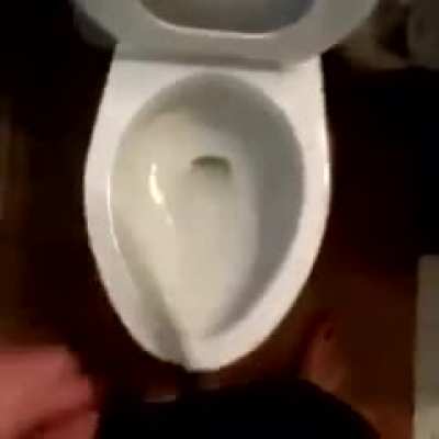 Bruh