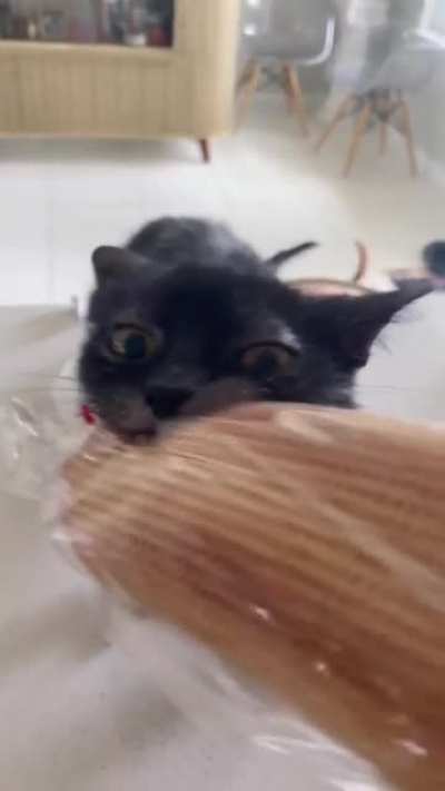 It's mine now...