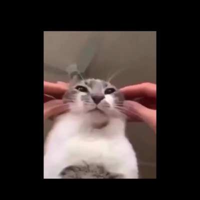 massage ^^