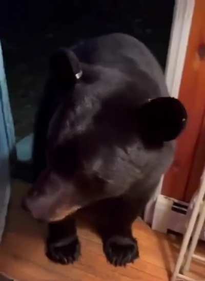 Прост<wbr>ите, не туда зашёл...
