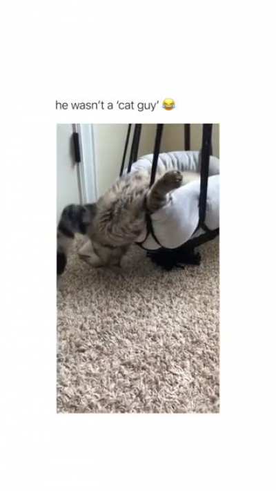 Dad and cat