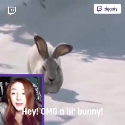 Twitch Streamers Die Inside