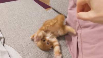 Defense position: derp