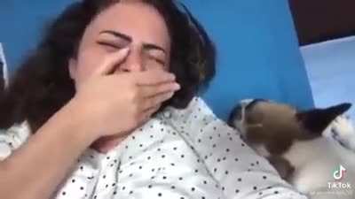 I want a dog to wake me up every day / the dog :