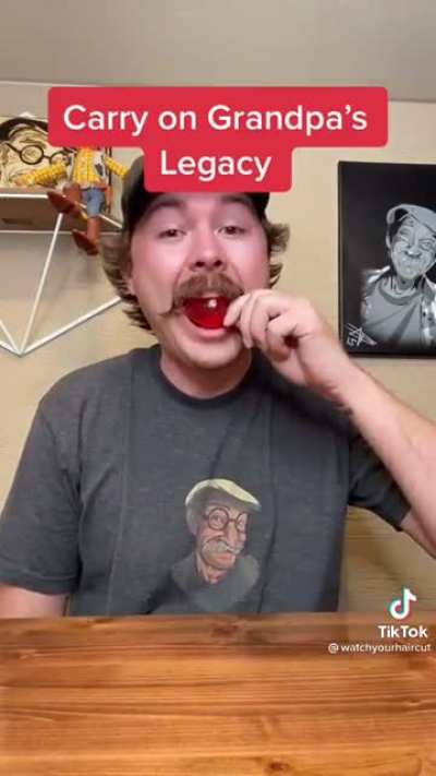 This is just him asking TikTok for verification, right?