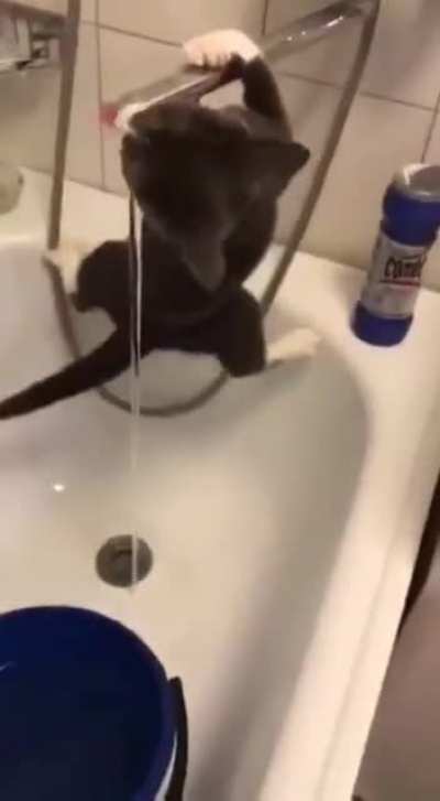 Serious hydrokitty