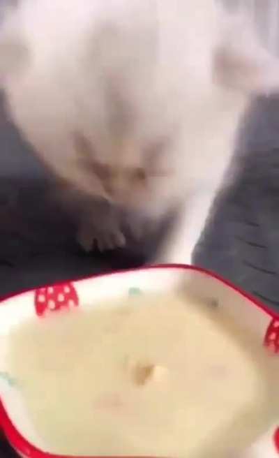 Clumsy wunk 
