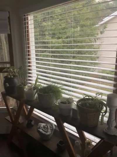 Some beautiful rain on the Monday morning.