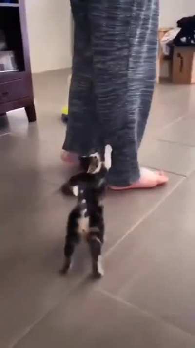 Take me with youuu