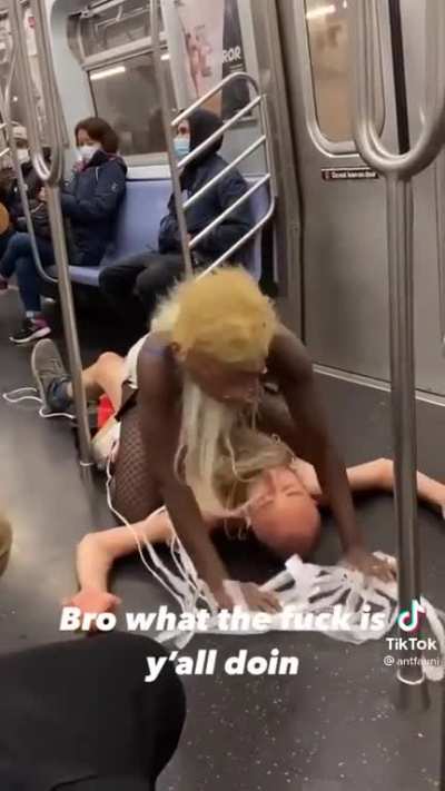 Wild Subway